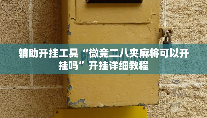 辅助开挂工具“微竞二八夹麻将可以开挂吗”开挂详细教程