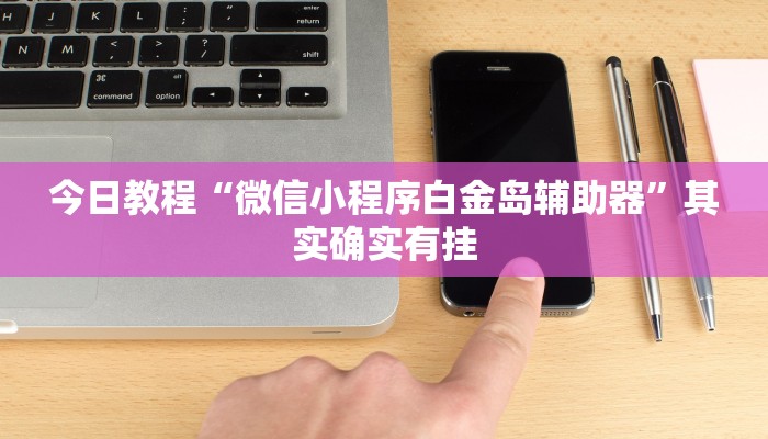 今日教程“微信小程序白金岛辅助器”其实确实有挂