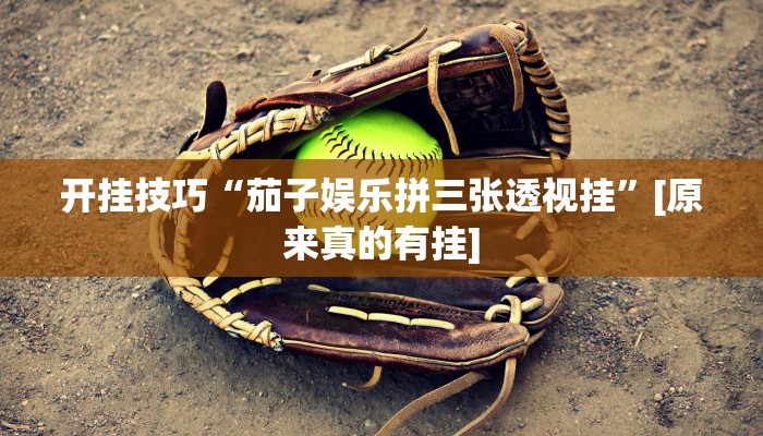 辅助神器“川麻圈可以开挂吗”详细开挂教程