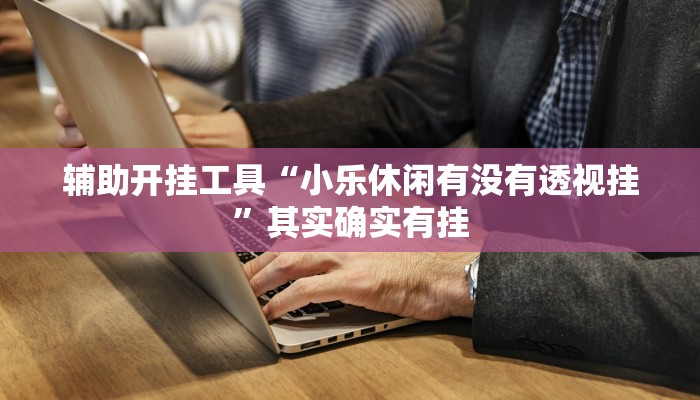 辅助开挂工具“小乐休闲有没有透视挂”其实确实有挂