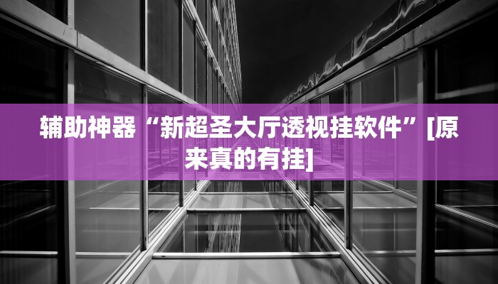 辅助神器“新超圣大厅透视挂软件”[原来真的有挂]