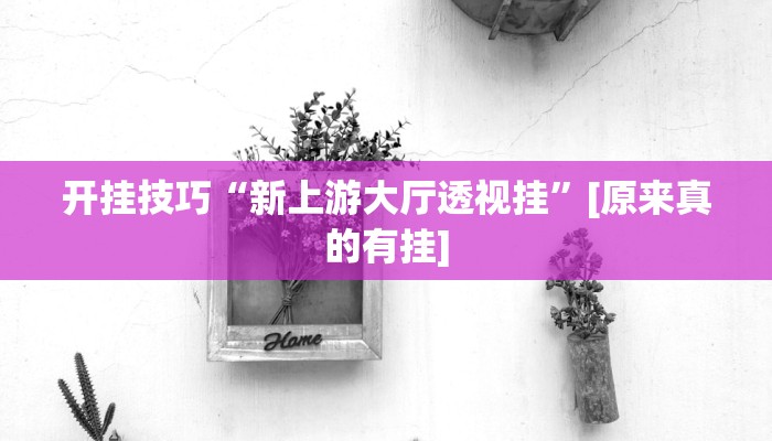 开挂技巧“新上游大厅透视挂”[原来真的有挂]