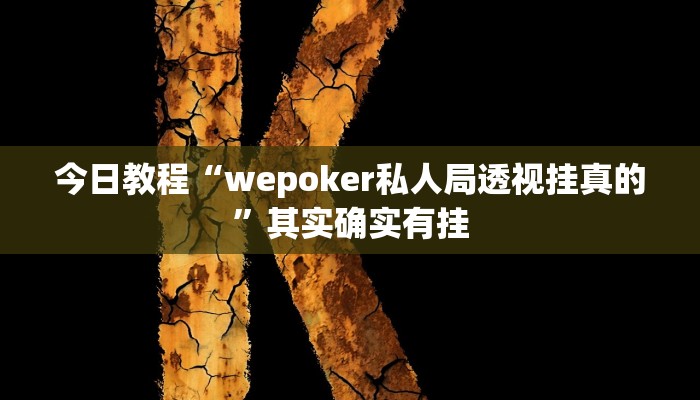 今日教程“wepoker私人局透视挂真的”其实确实有挂