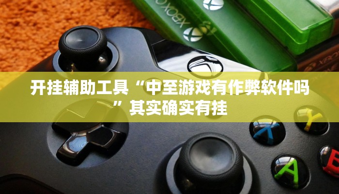 开挂辅助工具“中至游戏有作弊软件吗”其实确实有挂