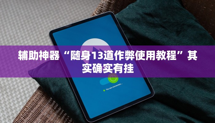 辅助神器“随身13道作弊使用教程”其实确实有挂