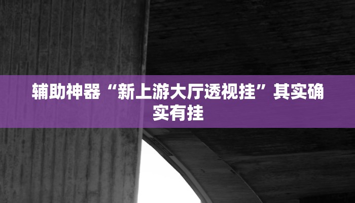 辅助神器“新上游大厅透视挂”其实确实有挂