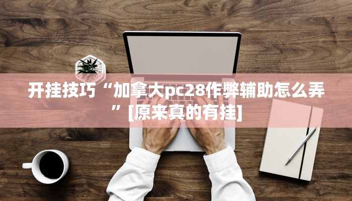 开挂技巧“加拿大pc28作弊辅助怎么弄”[原来真的有挂]