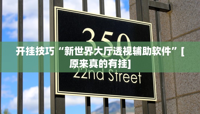 开挂技巧“新世界大厅透视辅助软件”[原来真的有挂]