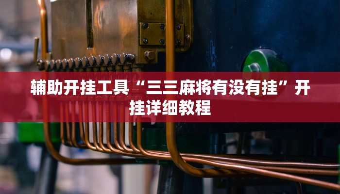 辅助开挂工具“三三麻将有没有挂”开挂详细教程