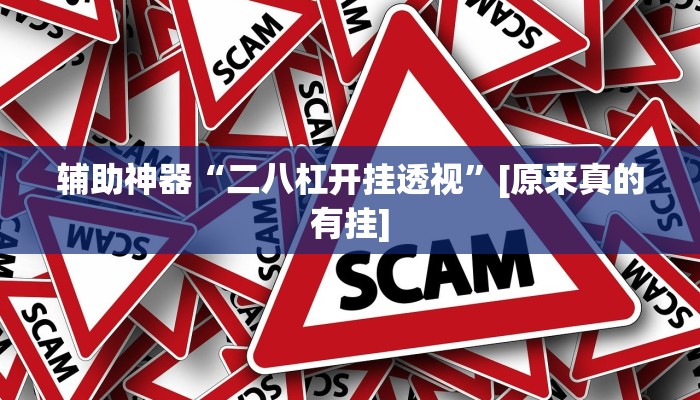 辅助神器“二八杠开挂透视”[原来真的有挂]