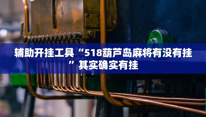 辅助开挂工具“518葫芦岛麻将有没有挂”其实确实有挂