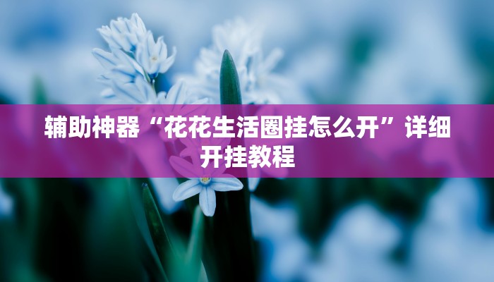 辅助神器“花花生活圈挂怎么开”详细开挂教程