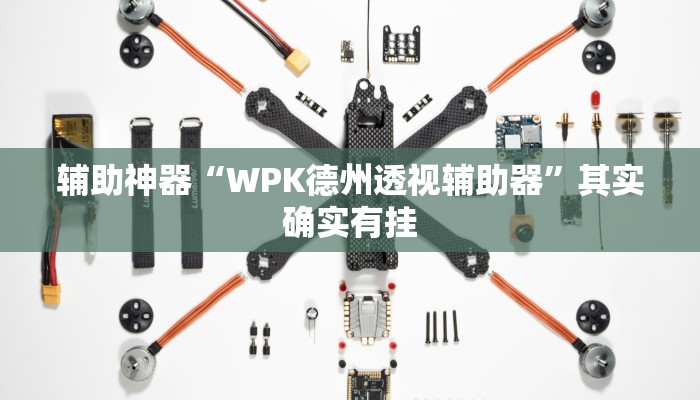 辅助神器“WPK德州透视辅助器”其实确实有挂