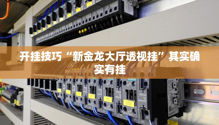 开挂技巧“新金龙大厅透视挂”其实确实有挂