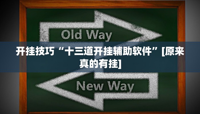开挂技巧“十三道开挂辅助软件”[原来真的有挂]