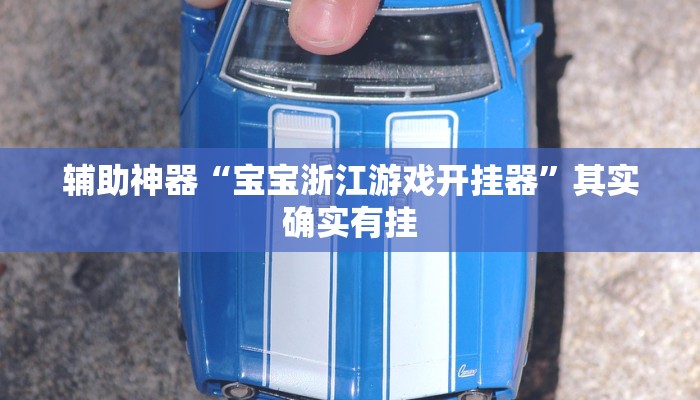 辅助神器“宝宝浙江游戏开挂器”其实确实有挂