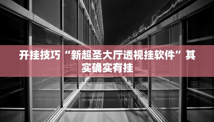开挂技巧“新超圣大厅透视挂软件”其实确实有挂