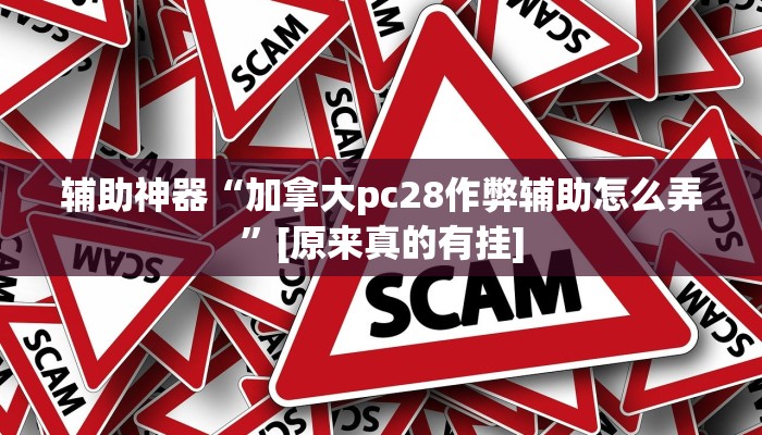 辅助神器“加拿大pc28作弊辅助怎么弄”[原来真的有挂]