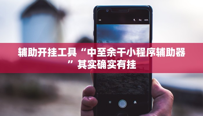 辅助开挂工具“中至余干小程序辅助器”其实确实有挂