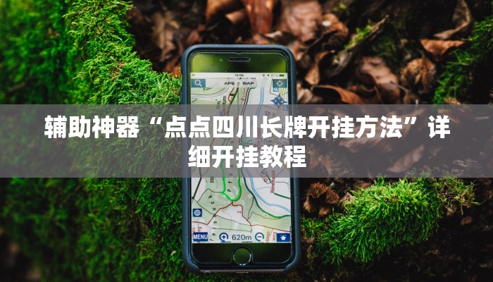 辅助神器“点点四川长牌开挂方法”详细开挂教程