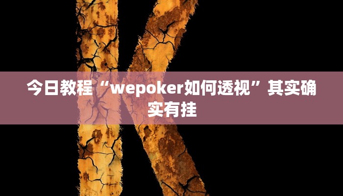 今日教程“wepoker如何透视”其实确实有挂