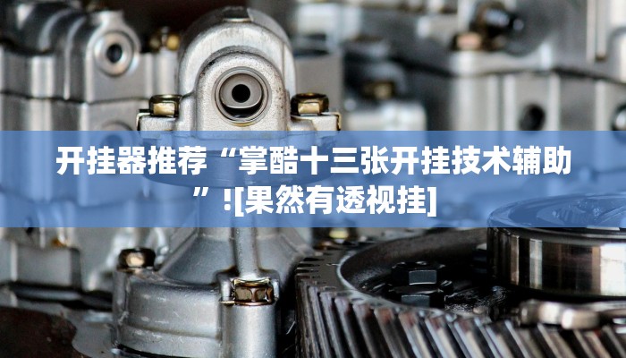 开挂器推荐“掌酷十三张开挂技术辅助”![果然有透视挂]