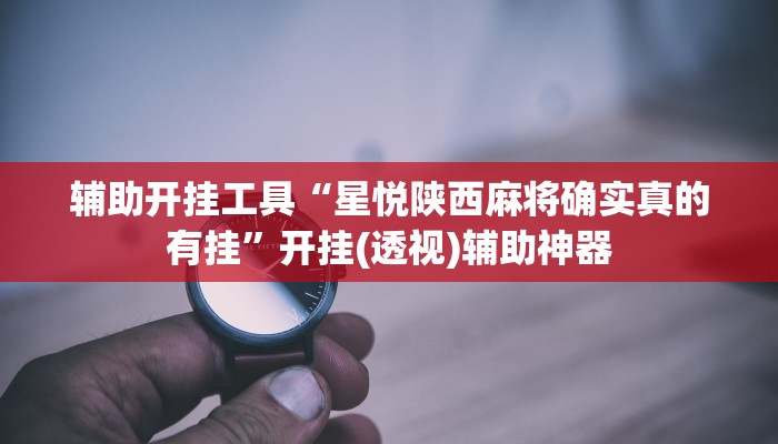 辅助开挂工具“星悦陕西麻将确实真的有挂”开挂(透视)辅助神器