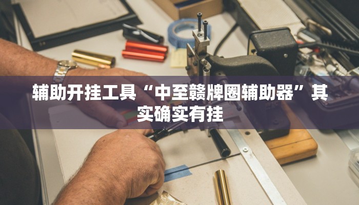 辅助开挂工具“中至赣牌圈辅助器”其实确实有挂