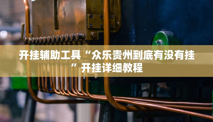 开挂辅助工具“众乐贵州到底有没有挂”开挂详细教程