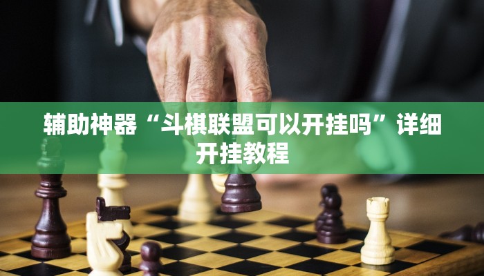 辅助神器“斗棋联盟可以开挂吗”详细开挂教程