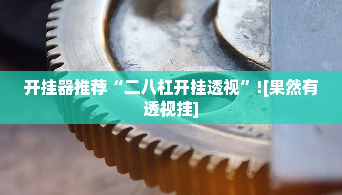 开挂器推荐“二八杠开挂透视”![果然有透视挂]