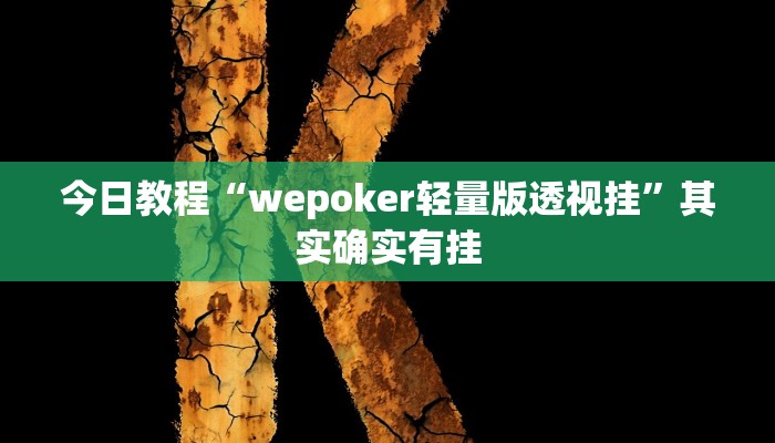 今日教程“wepoker轻量版透视挂”其实确实有挂