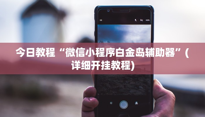 今日教程“微信小程序白金岛辅助器”(详细开挂教程)