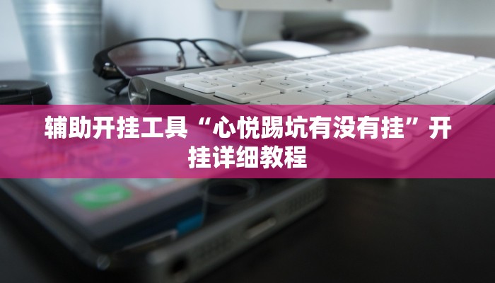 辅助开挂工具“心悦踢坑有没有挂”开挂详细教程