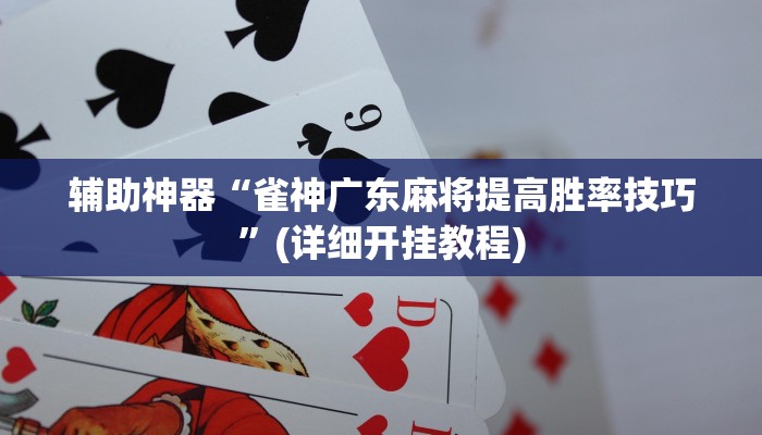 辅助神器“雀神广东麻将提高胜率技巧”(详细开挂教程)