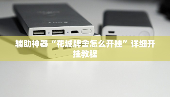 辅助神器“花城牌舍怎么开挂”详细开挂教程