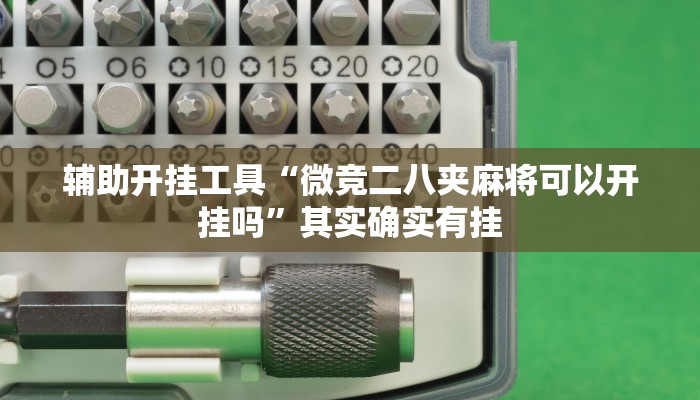 辅助开挂工具“微竞二八夹麻将可以开挂吗”其实确实有挂