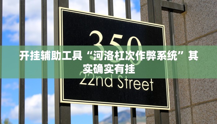 开挂辅助工具“河洛杠次作弊系统”其实确实有挂