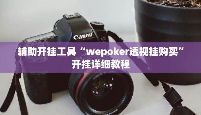 辅助开挂工具“wepoker透视挂购买”开挂详细教程