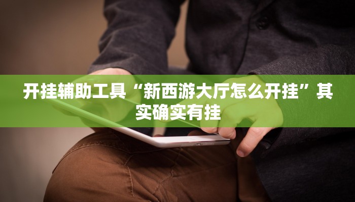 开挂辅助工具“新西游大厅怎么开挂”其实确实有挂