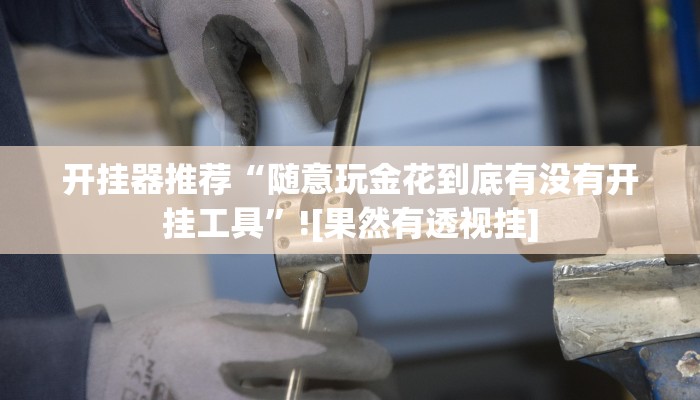 开挂器推荐“随意玩金花到底有没有开挂工具”![果然有透视挂]