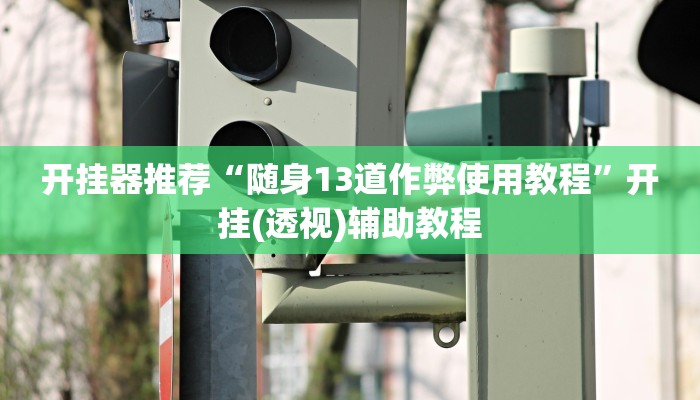 开挂器推荐“随身13道作弊使用教程”开挂(透视)辅助教程