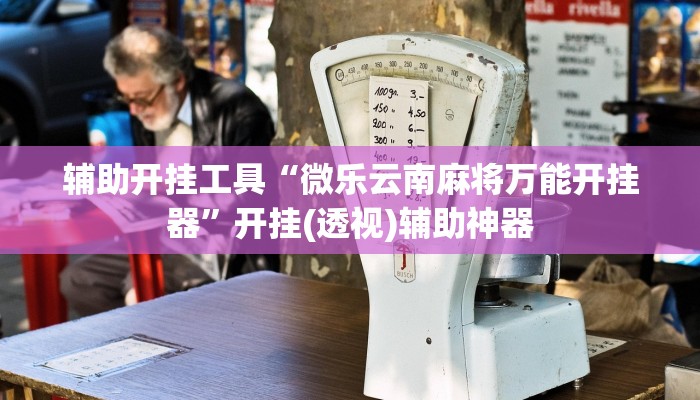 辅助开挂工具“微乐云南麻将万能开挂器”开挂(透视)辅助神器