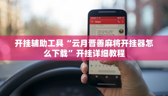 开挂辅助工具“云月晋善麻将开挂器怎么下载”开挂详细教程