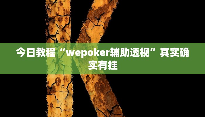 今日教程“wepoker辅助透视”其实确实有挂