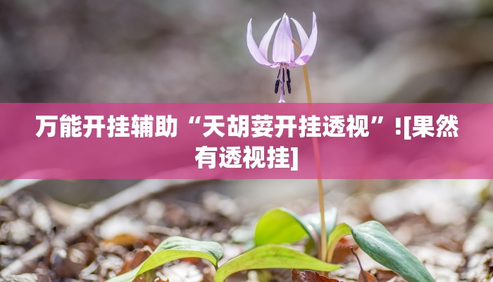 万能开挂辅助“天胡荽开挂透视”![果然有透视挂]