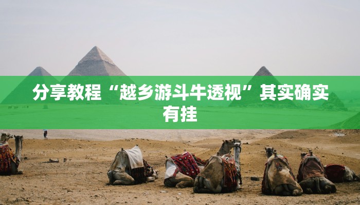 分享教程“越乡游斗牛透视”其实确实有挂