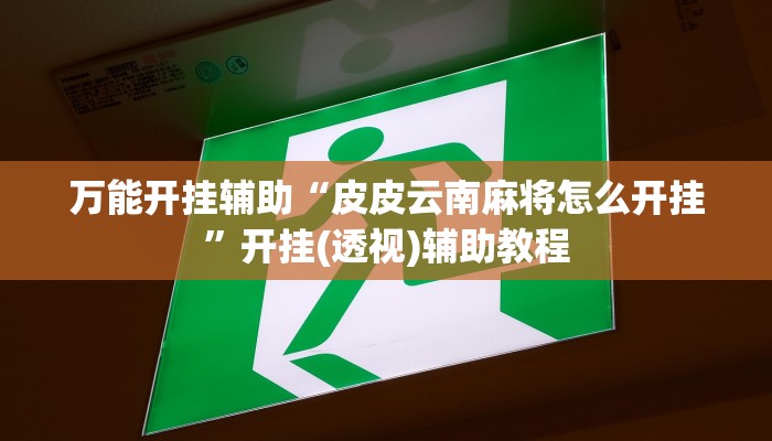 万能开挂辅助“皮皮云南麻将怎么开挂”开挂(透视)辅助教程