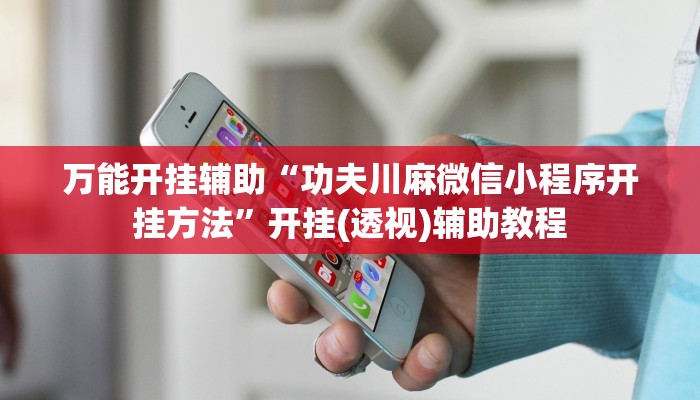 万能开挂辅助“功夫川麻微信小程序开挂方法”开挂(透视)辅助教程