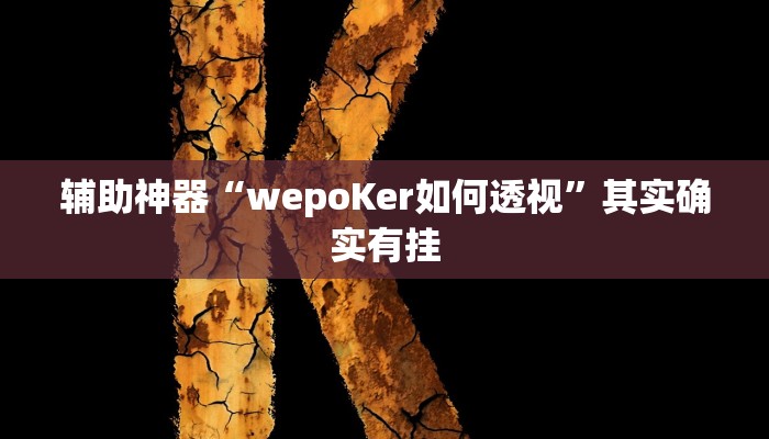 辅助神器“wepoKer如何透视”其实确实有挂